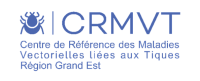 Logo CRMVT